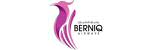 Berniq Airways